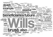 random words including- wills, trust, also, example, death, trust, assets, whilst, spouse, used, commonly