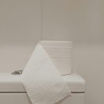 top of toilet with toilet roll sitting on it- pexels-vie-studio-3963084